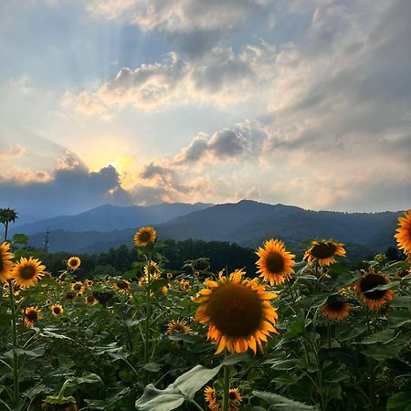 Locanda Alla Posta Cavaso Del Tomba Exteriér fotografie